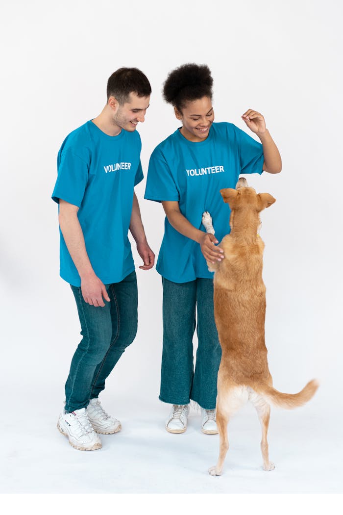 menu-18 Two volunteers enjoy bonding with a playful dog indoors, showcasing companionship and joy.